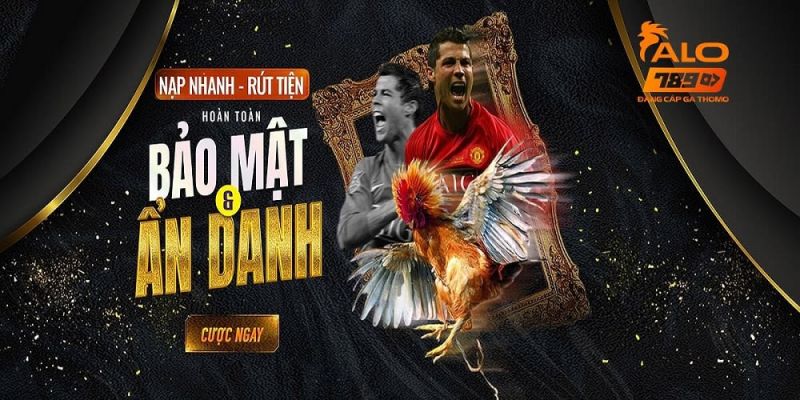 Các ưu điểm khi cá cược đá gà tại nhà cái Alo789